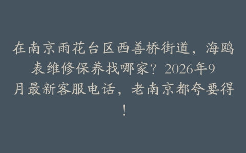 在南京雨花台区西善桥街道，海鸥表维修保养找哪家？2026年9月最新客服电话，老南京都夸要得！