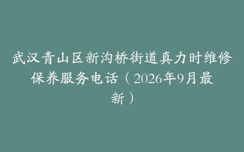 武汉青山区新沟桥街道真力时维修保养服务电话（2026年9月最新）
