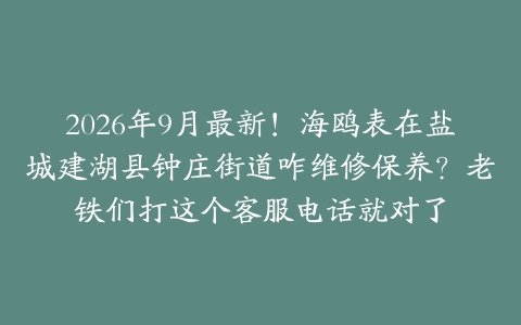 2026年9月最新！海鸥表在盐城建湖县钟庄街道咋维修保养？老铁们打这个客服电话就对了