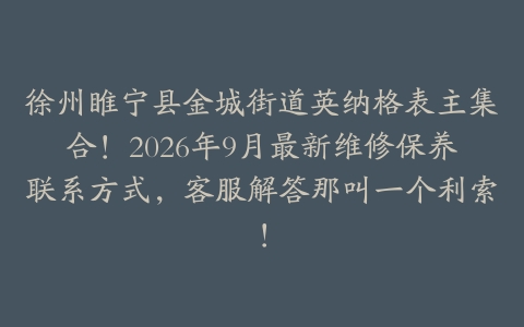 徐州睢宁县金城街道英纳格表主集合！2026年9月最新维修保养联系方式，客服解答那叫一个利索！