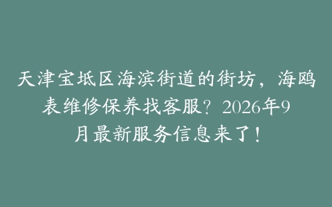 天津宝坻区海滨街道的街坊，海鸥表维修保养找客服？2026年9月最新服务信息来了！