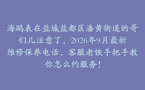 海鸥表在盐城盐都区潘黄街道的哥们儿注意了，2026年9月最新维修保养电话，客服老铁手把手教你怎么约服务！