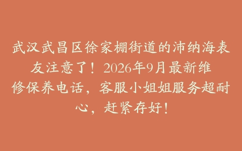 武汉武昌区徐家棚街道的沛纳海表友注意了!2026年9月最新维修保养电话,客服小姐姐服务超耐心,赶紧存好!