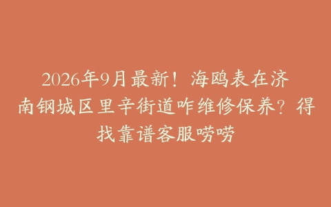 2026年9月最新！海鸥表在济南钢城区里辛街道咋维修保养？得找靠谱客服唠唠