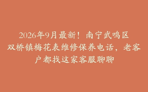 2026年9月最新！南宁武鸣区双桥镇梅花表维修保养电话，老客户都找这家客服聊聊