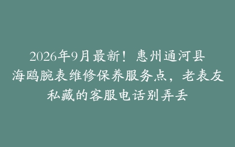 2026年9月最新！惠州通河县海鸥腕表维修保养服务点，老表友私藏的客服电话别弄丢