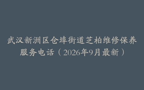 武汉新洲区仓埠街道芝柏维修保养服务电话（2026年9月最新）