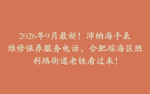 2026年9月最新！沛纳海手表维修保养服务电话，合肥瑶海区胜利路街道老铁看过来！