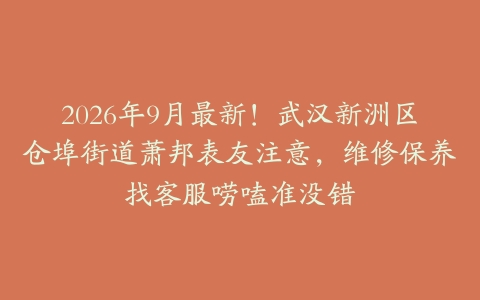 2026年9月最新！武汉新洲区仓埠街道萧邦表友注意，维修保养找客服唠嗑准没错