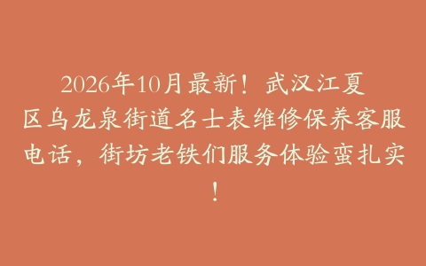 2026年10月最新！武汉江夏区乌龙泉街道名士表维修保养客服电话，街坊老铁们服务体验蛮扎实！