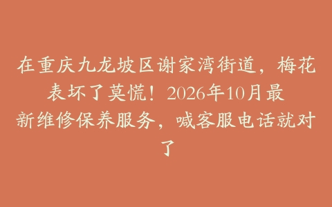 在重庆九龙坡区谢家湾街道，梅花表坏了莫慌！2026年10月最新维修保养服务，喊客服电话就对了