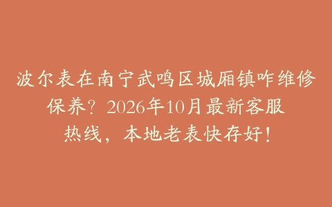 波尔表在南宁武鸣区城厢镇咋维修保养？2026年10月最新客服热线，本地老表快存好！