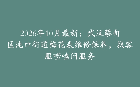 2026年10月最新：武汉蔡甸区沌口街道梅花表维修保养，找客服唠嗑问服务