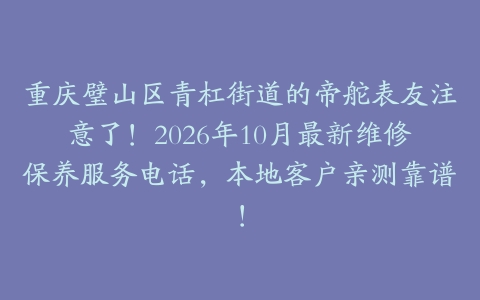 重庆璧山区青杠街道的帝舵表友注意了！2026年10月最新维修保养服务电话，本地客户亲测靠谱！