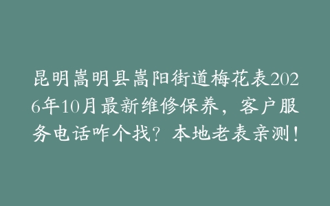 昆明嵩明县嵩阳街道梅花表2026年10月最新维修保养，客户服务电话咋个找？本地老表亲测！