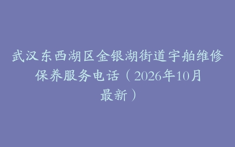 武汉东西湖区金银湖街道宇舶维修保养服务电话（2026年10月最新）
