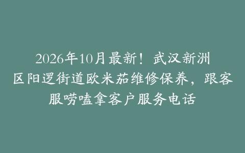 2026年10月最新！武汉新洲区阳逻街道欧米茄维修保养，跟客服唠嗑拿客户服务电话