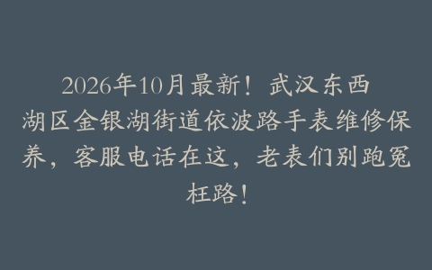 2026年10月最新！武汉东西湖区金银湖街道依波路手表维修保养，客服电话在这，老表们别跑冤枉路！