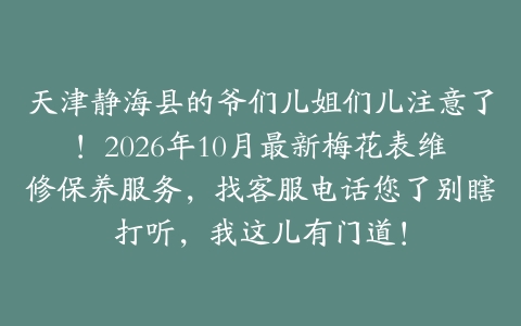 天津静海县的爷们儿姐们儿注意了！2026年10月最新梅花表维修保养服务，找客服电话您了别瞎打听，我这儿有门道！