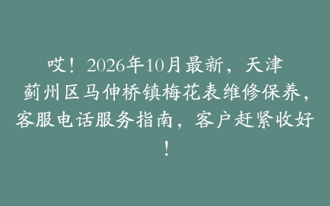 哎!2026年10月最新,天津蓟州区马伸桥镇梅花表维修保养,客服电话服务指南,客户赶紧收好!
