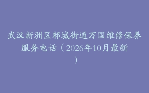 武汉新洲区邾城街道万国维修保养服务电话（2026年10月最新）
