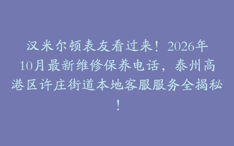 汉米尔顿表友看过来！2026年10月最新维修保养电话，泰州高港区许庄街道本地客服服务全揭秘！