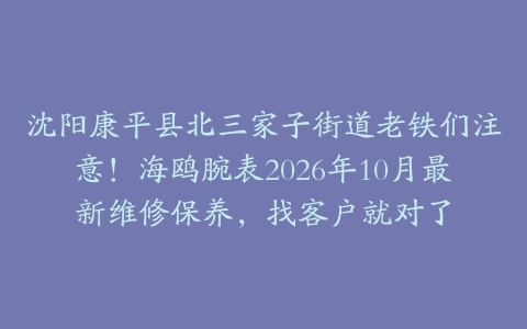 沈阳康平县北三家子街道老铁们注意！海鸥腕表2026年10月最新维修保养，找客户就对了