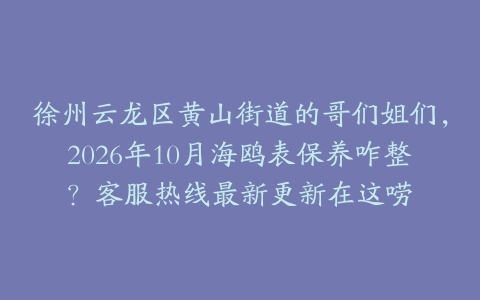 徐州云龙区黄山街道的哥们姐们，2026年10月海鸥表保养咋整？客服热线最新更新在这唠