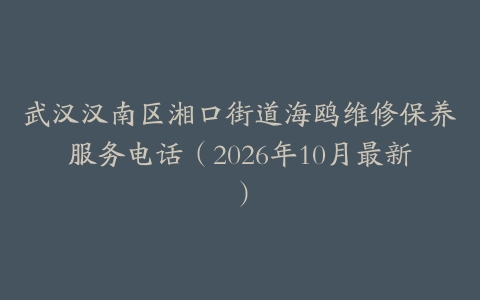 武汉汉南区湘口街道海鸥维修保养服务电话（2026年10月最新）