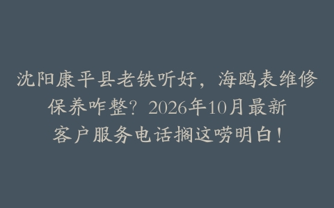沈阳康平县老铁听好，海鸥表维修保养咋整？2026年10月最新客户服务电话搁这唠明白！