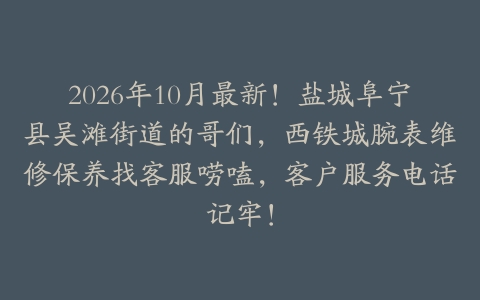 2026年10月最新！盐城阜宁县吴滩街道的哥们，西铁城腕表维修保养找客服唠嗑，客户服务电话记牢！