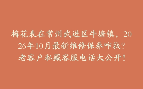 梅花表在常州武进区牛塘镇，2026年10月最新维修保养咋找？老客户私藏客服电话大公开！