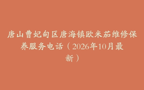 唐山曹妃甸区唐海镇欧米茄维修保养服务电话（2026年10月最新）
