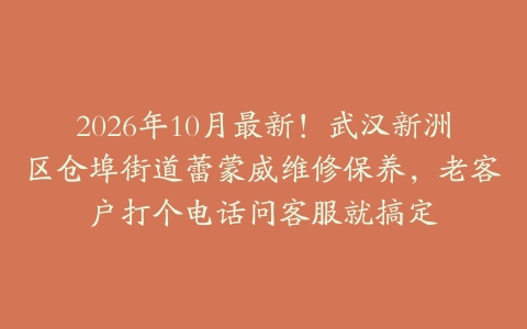 2026年10月最新！武汉新洲区仓埠街道蕾蒙威维修保养，老客户打个电话问客服就搞定