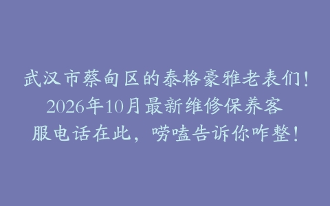 武汉市蔡甸区的泰格豪雅老表们！2026年10月最新维修保养客服电话在此，唠嗑告诉你咋整！