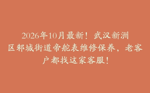 2026年10月最新！武汉新洲区邾城街道帝舵表维修保养，老客户都找这家客服！