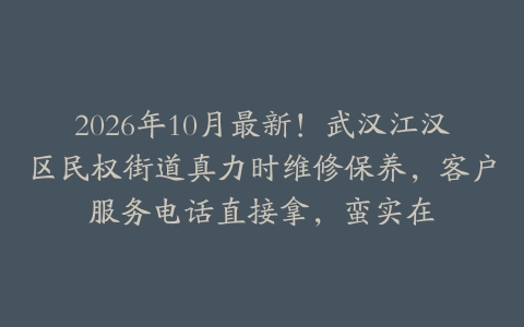 2026年10月最新！武汉江汉区民权街道真力时维修保养，客户服务电话直接拿，蛮实在