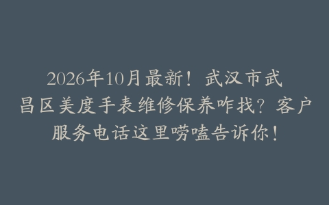 2026年10月最新！武汉市武昌区美度手表维修保养咋找？客户服务电话这里唠嗑告诉你！