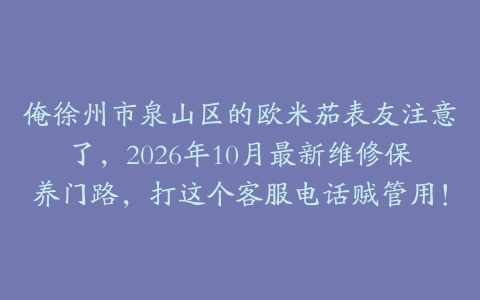 俺徐州市泉山区的欧米茄表友注意了,2026年10月最新维修保养门路,打这个客服电话贼管用!