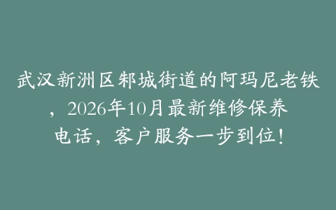 武汉新洲区邾城街道的阿玛尼老铁，2026年10月最新维修保养电话，客户服务一步到位！