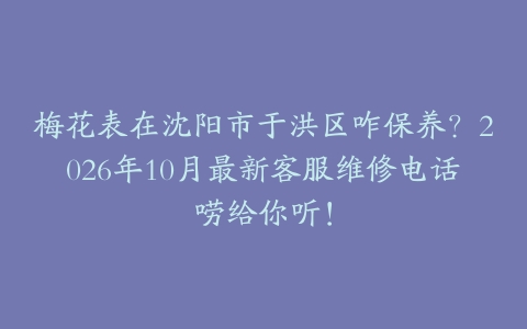 梅花表在沈阳市于洪区咋保养？2026年10月最新客服维修电话唠给你听！
