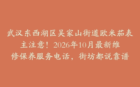 武汉东西湖区吴家山街道欧米茄表主注意!2026年10月最新维修保养服务电话,街坊都说靠谱