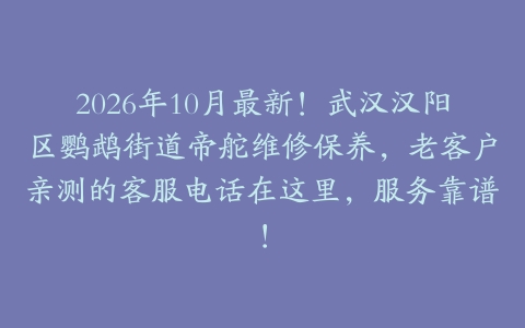 2026年10月最新！武汉汉阳区鹦鹉街道帝舵维修保养，老客户亲测的客服电话在这里，服务靠谱！