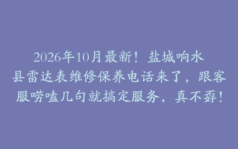 2026年10月最新！盐城响水县雷达表维修保养电话来了，跟客服唠嗑几句就搞定服务，真不孬！