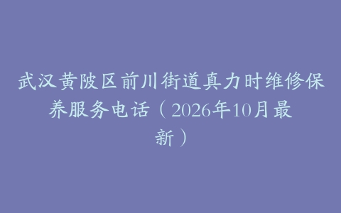 武汉黄陂区前川街道真力时维修保养服务电话（2026年10月最新）