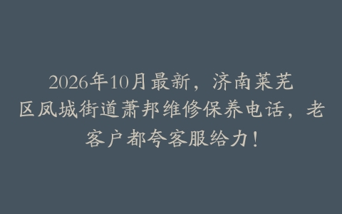 2026年10月最新，济南莱芜区凤城街道萧邦维修保养电话，老客户都夸客服给力！
