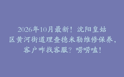 2026年10月最新！沈阳皇姑区黄河街道理查德米勒维修保养，客户咋找客服？唠唠嗑！