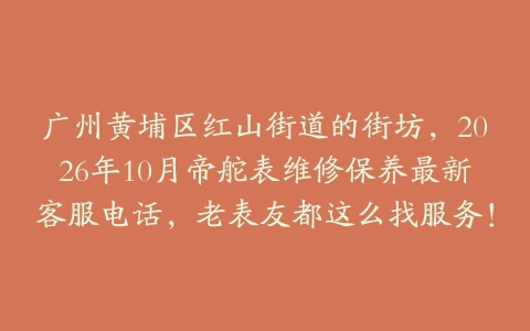 广州黄埔区红山街道的街坊，2026年10月帝舵表维修保养最新客服电话，老表友都这么找服务！
