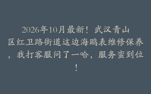 2026年10月最新！武汉青山区红卫路街道这边海鸥表维修保养，我打客服问了一哈，服务蛮到位！