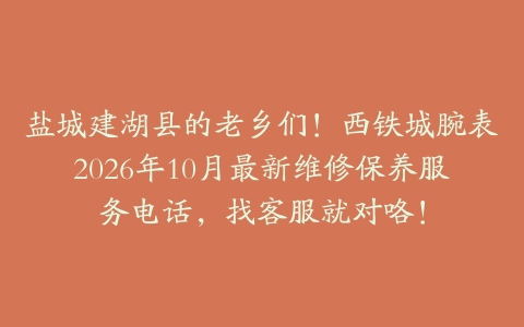 盐城建湖县的老乡们！西铁城腕表2026年10月最新维修保养服务电话，找客服就对咯！